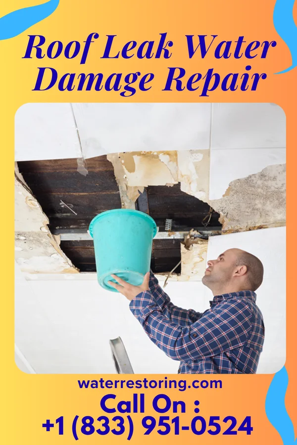 Roof Leak Water Damage Repair in Arco, ID